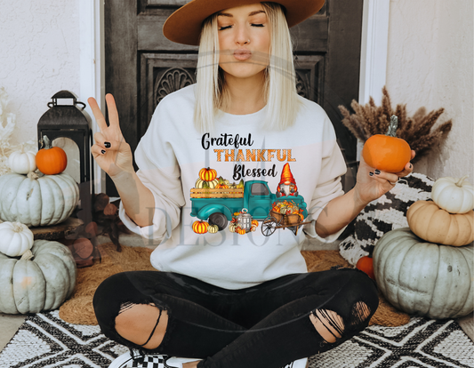 Grateful, Thankful, Blessed Gnomes